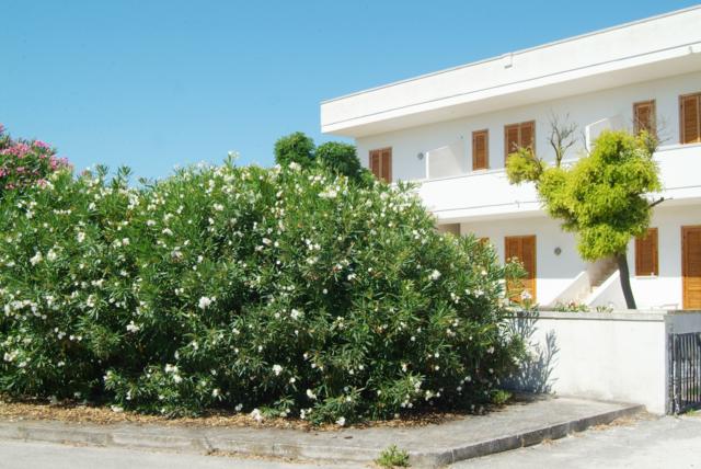 Appartamento affitto Torre dell’Orso vicino al mare 18 Appartamento affitto Torre dell’Orso vicino al mare 18