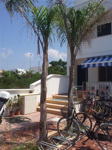 Cerco in Affitto Casa Vacanze a Torre San Giovanni nel Salento 2