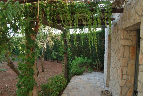 Affitto estivo TRULLO nel salento.Affitto per vacanze di un Caratteristico TRULLO 26 Affitto estivo TRULLO nel salento.Affitto per vacanze di un Caratteristico TRULLO 26