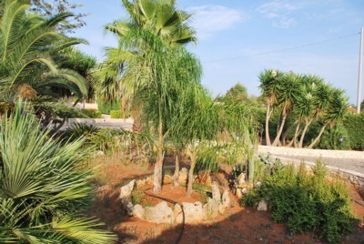 Villa con Vista Mare e Vasto Giardino a Torre Pali: Casa in affitto 29 Villa con Vista Mare e Vasto Giardino a Torre Pali: Casa in affitto 29
