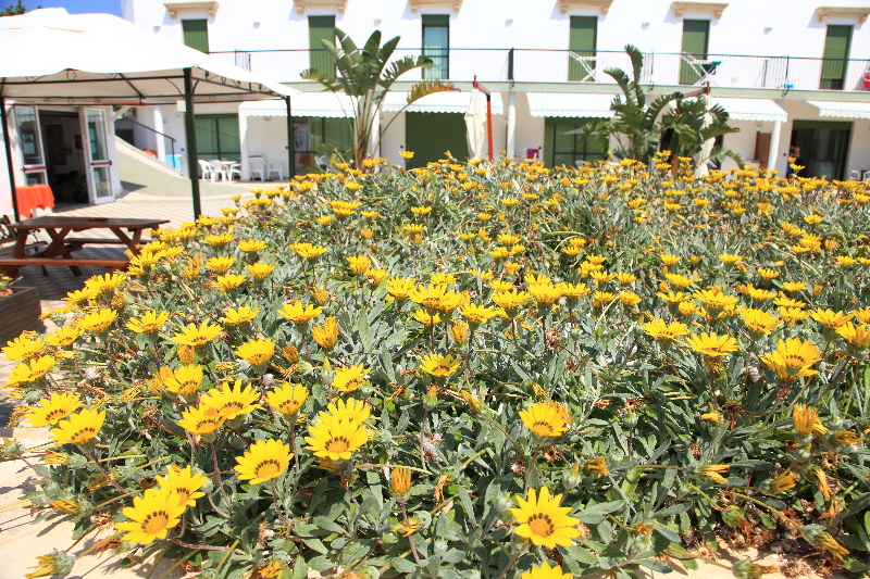 Affitto Casa al mare Lido Pizzo 56 Affitto Casa al mare Lido Pizzo 56